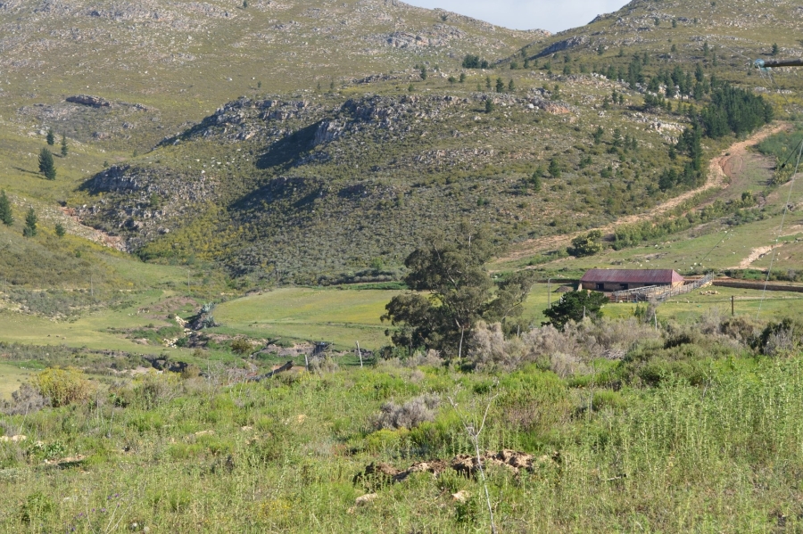 0 Bedroom Property for Sale in Uniondale Western Cape